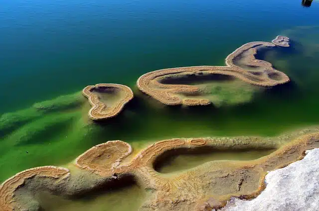 tour hierve el agua