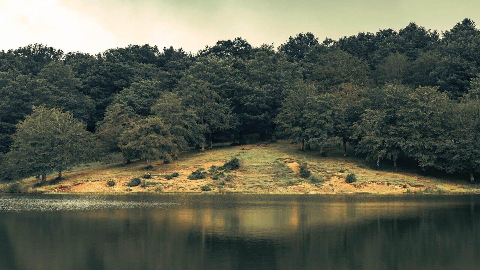 Bosque de Las Truchas