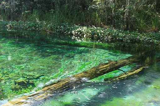 Tours en Tapachula Chiapas