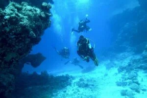 tours en cancun