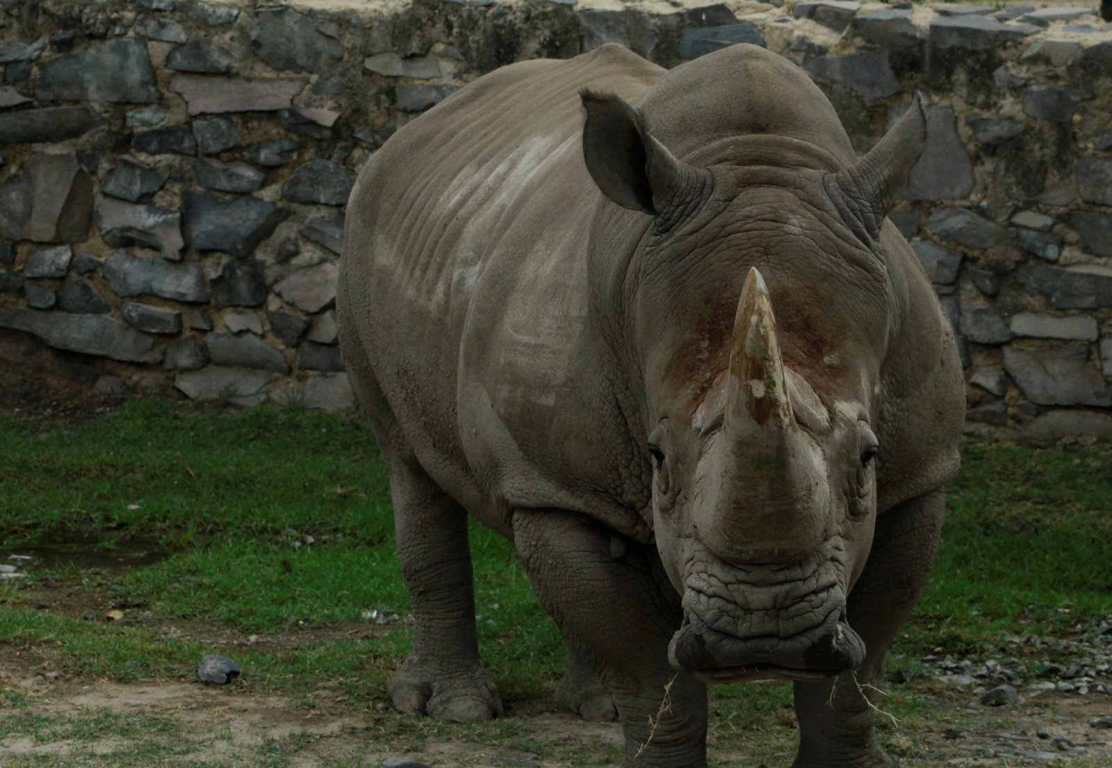 Parque Reino Animal- 2021